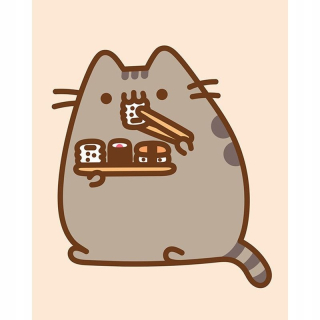 Pusheen - Pushen - obrázok s digitálnou tlačou (Pushen Z Su
