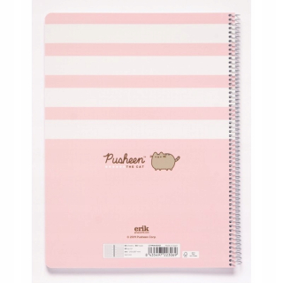 Pusheen - Notebook s notebookmi