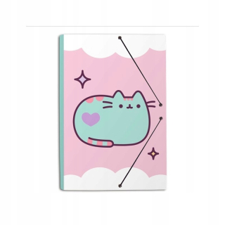 Pusheen - Briefcase Storage - Skladovanie dokumentov (24)
