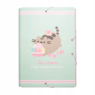 Pusheen - Brushcase Storage - Skladovanie dokumentov