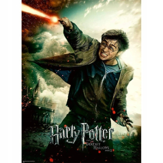 HARRY POTTER - Puzzle 100 XXL Harry Potter