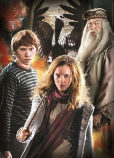 HARRY POTTER - Harry Potter 3x1000 Puzzle. 61884
