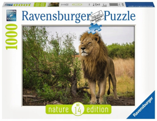 Leví kráľ - Ravensburger Puzzle 1000 King Lion Africa