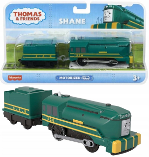 Vláčik Tomáš - Shane Ciuchcia Tomek Friends Tor Track Master