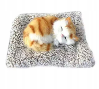 SPIACA MAČKA MAČIATKA NA VANKÚŠIKU LIVE MEOWS
