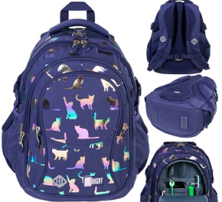 Batoh so 4 priehradkami BP1 Holo Cats/Holo Mačiatka