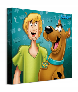 Scooby Doo - Scooby Doo Shaggy Canvas print 40x40 cm
