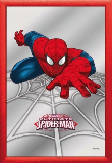Superman - Subder-Man Image na zrkadle 20x30 cm Ultimate