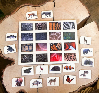 Poznať zvieratko, Montessori puzzle, logické myslenie