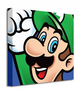 Super Mario - Super Mario Luigi Canvas Tlač s 40x40 cm hra
