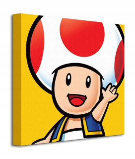 Super Mario - Super Mario ropucha obraz na plátno z hry 40x40 cm