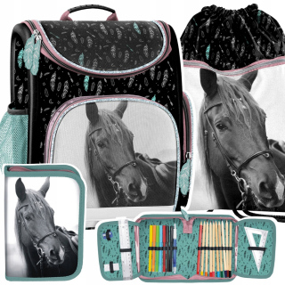 Aktovka školská taška - Sada školskej Satchel ceruzkou Case Sack Horse Horse