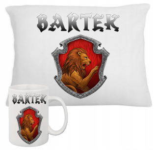 HARRY POTTER - Sada narodenín vankúš + MUG HARRY POTTER NAME