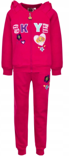PAW Patrol - Detské tracksuit nohavice Dog Mikina PATROL SKYE 116