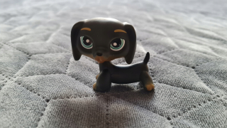 Littlest Pet Shop - LPS Dachshund Black # 325 Unikátny - Littlest Pet Shop