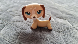 Littlest Pet Shop - LPS Cream Dachshund Unikátny - Littlest Pet Shop