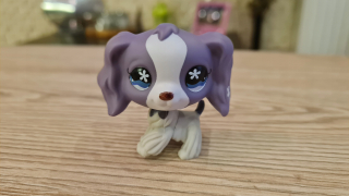 Littlest Pet Shop - LPS Spaniel # 672 (fialová, hviezdy v očiach)