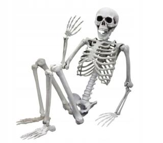 ĽUDSKÁ KOSTRA Z HALLOWEENSKÝCH KOSTI 170CM